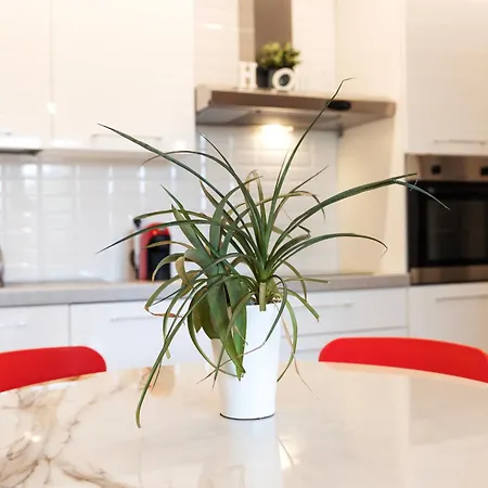 Il Noce 1 Misano Adriatico